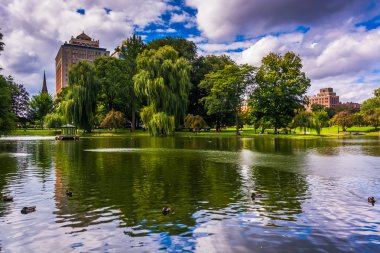 Bina ve ağlayan söğüt ağaçları ve boston publi havuz