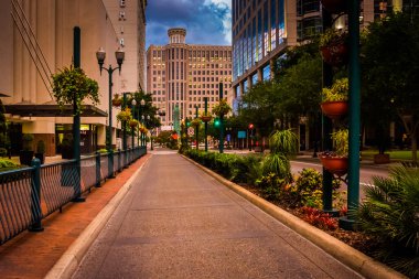 binalar ve Orlando, florida bir cadde boyunca çevre düzenlemesi. 