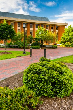 çalılar ve binalarda, john hopkins Üniversitesi, Baltimore, ma