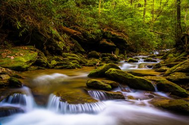 holtwood, pennsylvania yemyeşil bir orman içinde akımın Cascades.