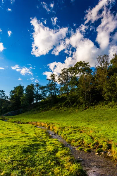 A small stream through a field in rural York County, Pennsylvani — Stock Photo, Image