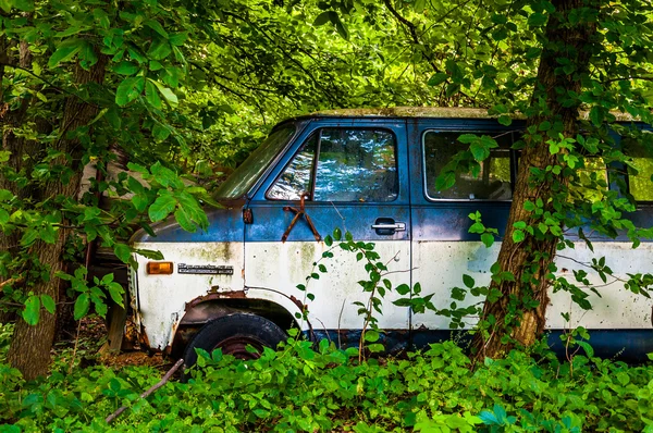 Verlassener alter Lieferwagen im Wald. — Stockfoto