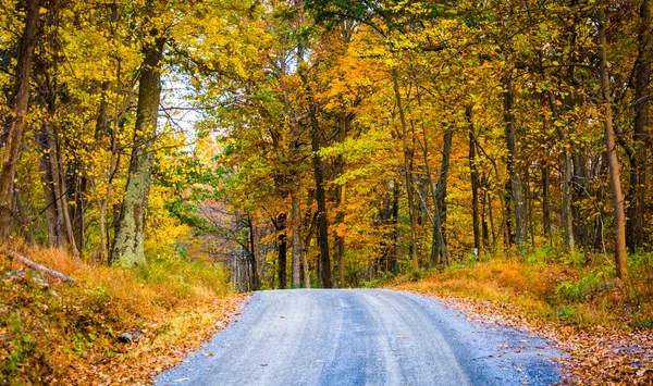 Autumn color along a dirt road in Frederick County, Maryland. — Stock Photo, Image