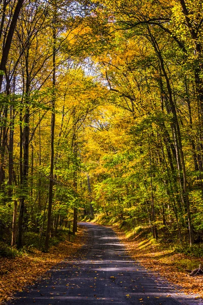 Höstfärg längs en landsväg i landsbygdens baltimore county, mar農村のボルティモア郡、3 月に国の道路に沿っての秋の色 — Stockfoto