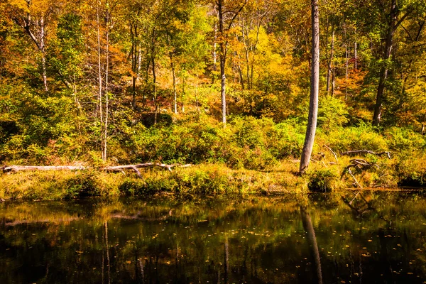 火薬の火薬川沿いの秋の色落ちる状態 — ストック写真