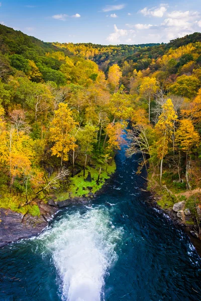Autumn color along the Gunpowder River seen from Prettyboy Dam i — Stock Photo, Image