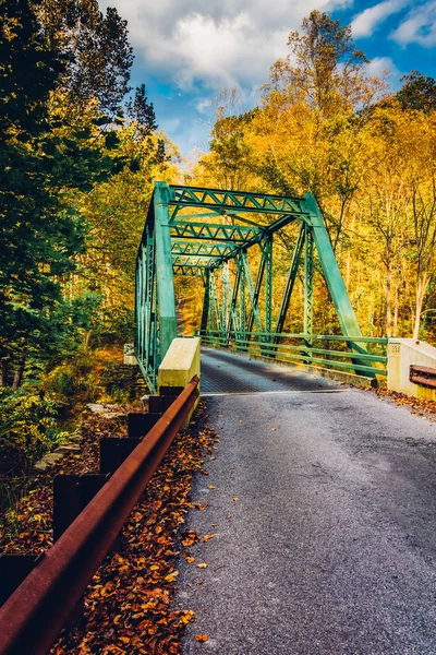 Höstfärg och en bro i krut falls state park, marylan — Stockfoto