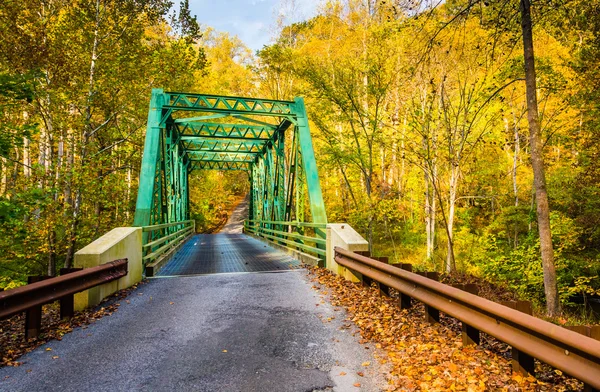 Осенний цвет и мост в парке Gunpowder Falls State Park, Мэрилан — стоковое фото