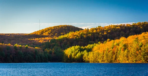 Autumn color at Long Pine Run Reservoir, in Michaux State Forest — Stock Photo, Image