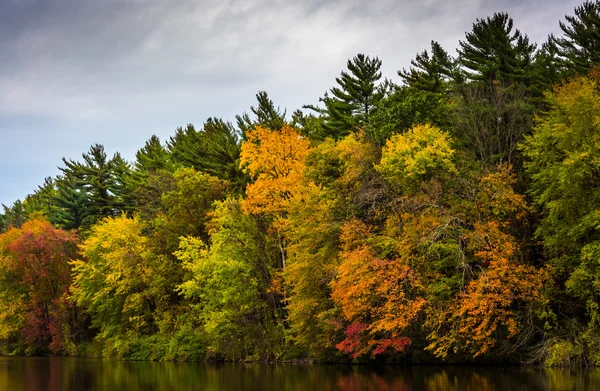 Cores de outono na costa do Lago Williams, perto de York, Pennsylv — Fotografia de Stock