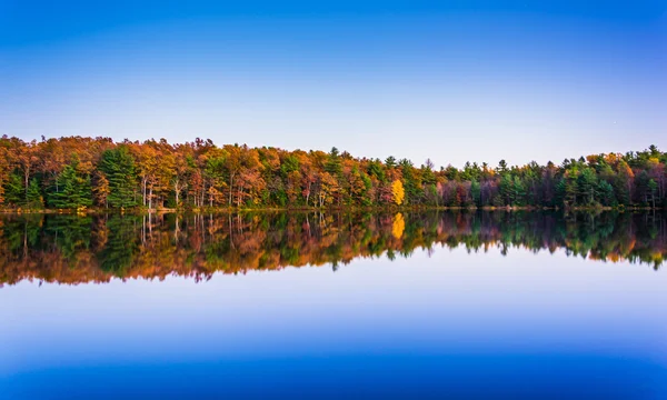 Herbstreflexionen im Carbaugh Reservoir, in michaux state fores — Stockfoto