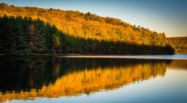 Herbst-Reflexionen in langen Kiefer laufen Reservoir, in michaux Zustand — Stockfoto