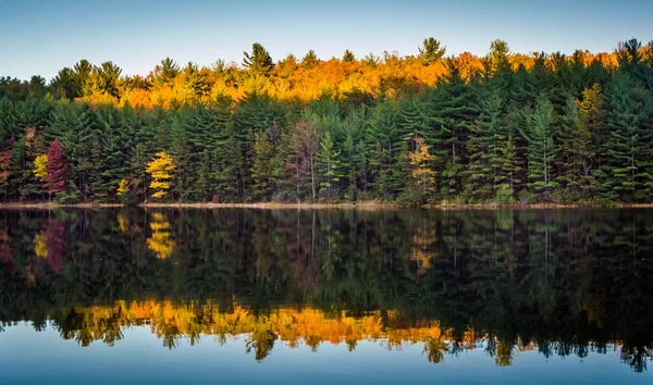 Reflexiones otoñales en el embalse Long Pine Run, en el estado de Michaux —  Fotos de Stock