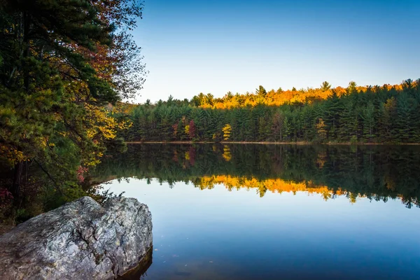 Herfst reflecties in lange pine reservoir, uitgevoerd in michaux staat — Stockfoto