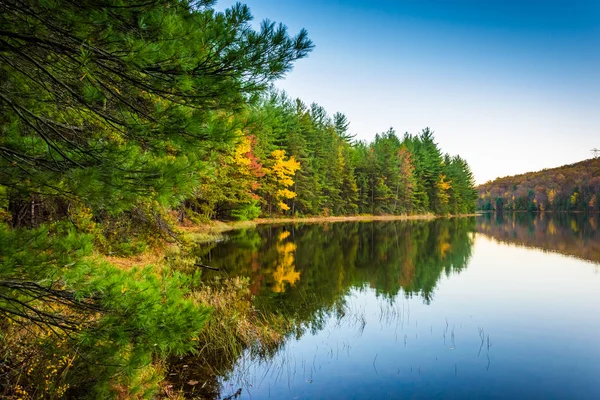 Autumn reflections in Long Pine Run Reservoir, in Michaux State — Stock Photo, Image