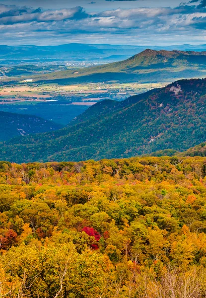 Vue d'automne sur les Blue Ridge Mountains et la vallée de Shenandoah en — Photo