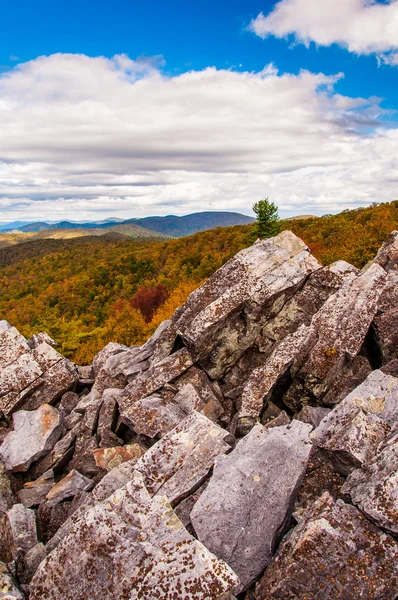 Autumn view of the Blue Ridge Mountains from the boulder-covered — Stock Photo, Image