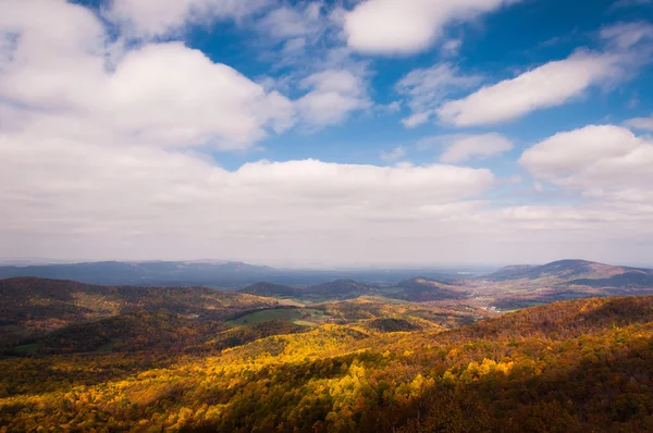Autumn view of the Shenandoah Valley from Skyline Drive in Shena — Stock Photo, Image