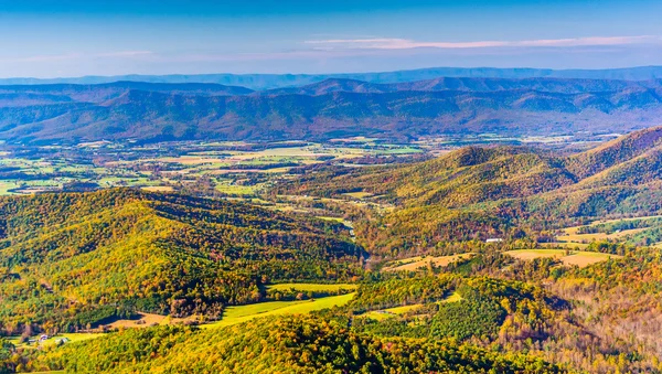 Vista de otoño del valle de Shenandoah, desde Skyline Drive en Shen —  Fotos de Stock
