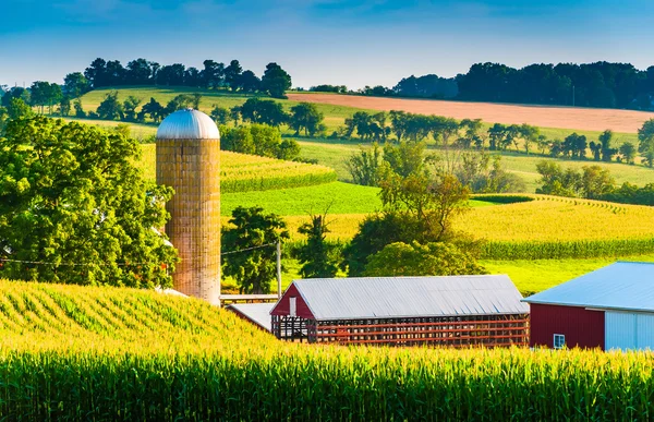 Celeiro e silo em uma fazenda no Condado de York rural, Pensilvânia . — Fotografia de Stock