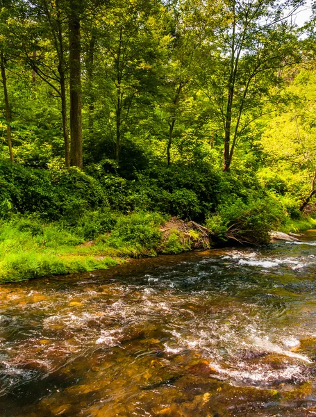 Beautiful cascades on Gunpowder Falls in Baltimore County, Maryl — Stock Photo, Image