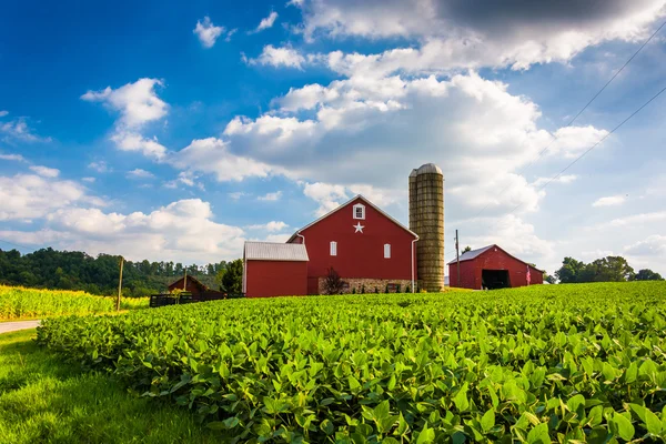 Beau champ de ferme et grange sur une ferme près de Spring Grove, Penns — Photo