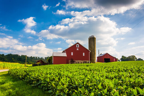 Beautiful farm field and barn on a farm near Spring Grove, Penns
