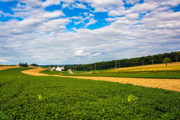 Krásná zemědělská pole a zvlněné kopce poblíž křižovatky, pennsy — Stock fotografie
