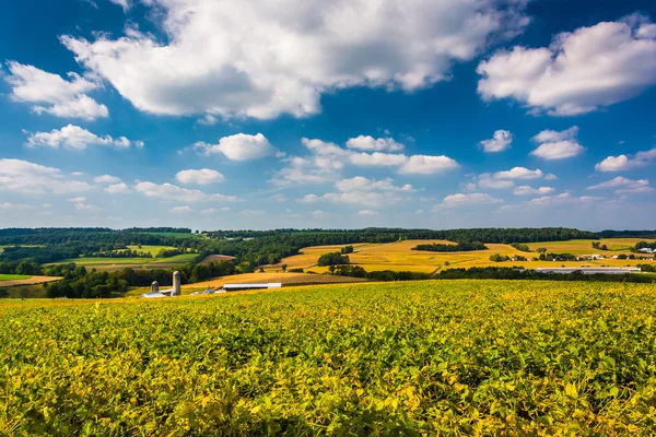 Beautiful sky over farm fields and rolling hills in rural York C — Stock Photo, Image