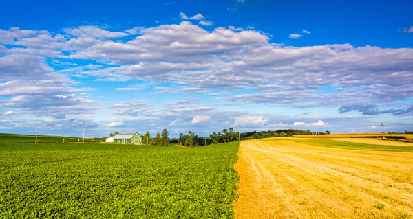 Piękne niebo nad polami farm w pobliżu krzyż dróg, Pensylwania. — Zdjęcie stockowe