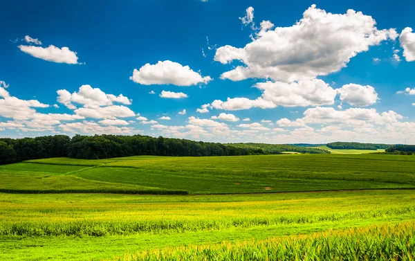 Mooie zomerse wolken boven velden en glooiende heuvels in souther — Stockfoto