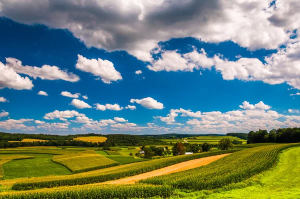 Hermosas nubes de verano sobre colinas onduladas y campos agrícolas en Ru —  Fotos de Stock