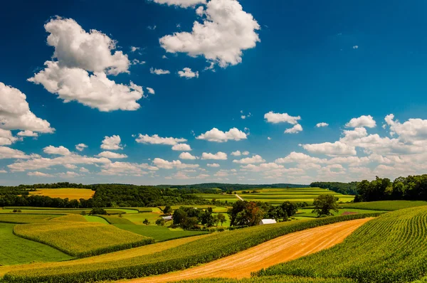 Lindas nuvens de verão sobre colinas ondulantes e campos agrícolas em ru — Fotografia de Stock