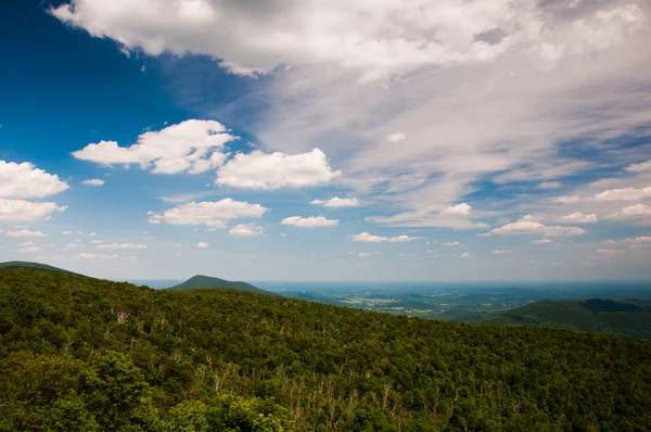 Beau ciel d'été au-dessus du Piémont, vue de Skyline Drive en S — Photo