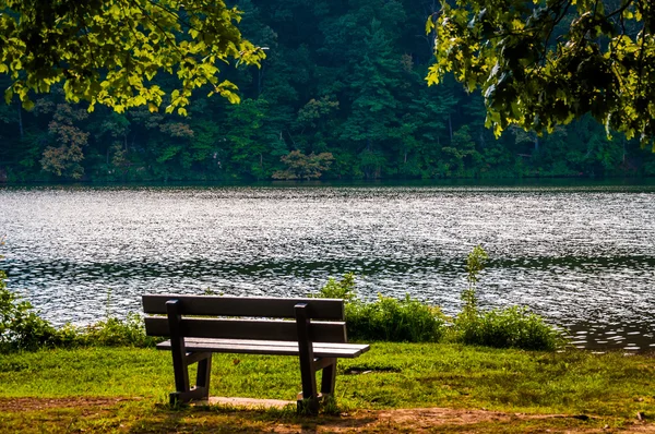 Bänk längs stranden av sjön williams, i york, pennsylvania. — Stockfoto