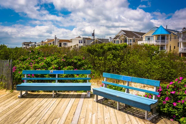Benches and houses in Ocean City, New Jersey. — Stock Photo, Image
