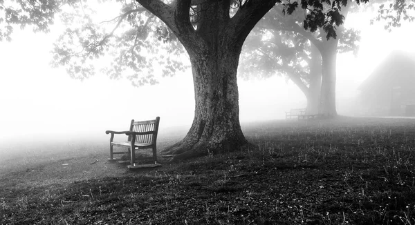 Benches and trees in fog, behind Dickey Ridge Visitor Center in — Stock Photo, Image