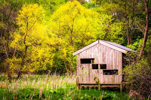Madár vak és tavaszi színek wildwood Park harrisburg, penn — Stock Fotó