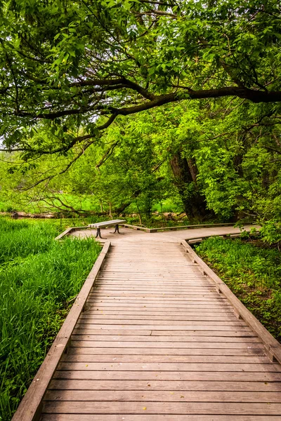 Paseo marítimo a través del bosque en Wildwood Park en Harrisbur — Foto de Stock