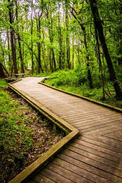 Boardwalk trail through the forest at Wildwood Park in Harrisbur — Stock Photo, Image