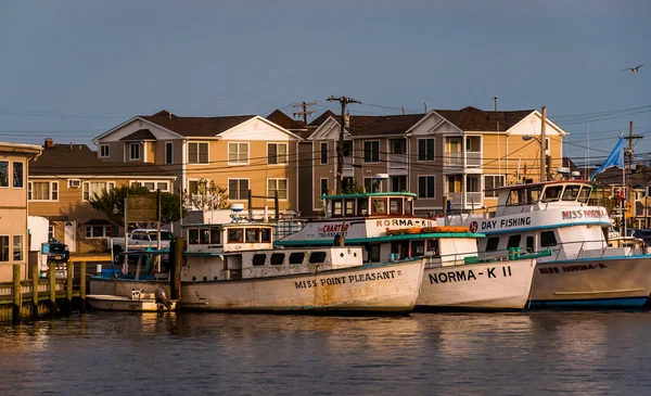 Boten en huizen langs de manasquan inham in punt aangename bea — Stockfoto