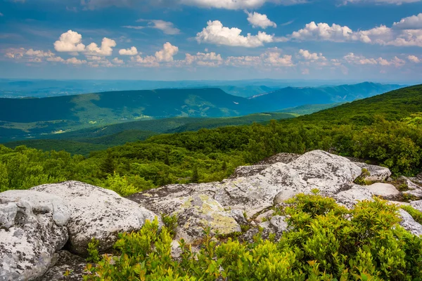 Pedregulhos e vista oriental das Montanhas Apalaches de Bear — Fotografia de Stock