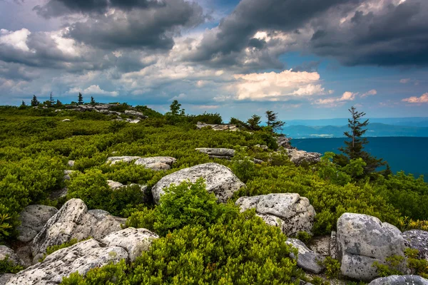 Pedregulhos e vista oriental das Montanhas Apalaches de Bear — Fotografia de Stock