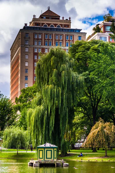 在波士顿公共花园建设和垂柳树, — Φωτογραφία Αρχείου