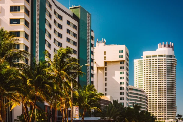 마이애미 비치, 플로리다에 있는 콜린스 애비뉴를 따라 건물. — 스톡 사진