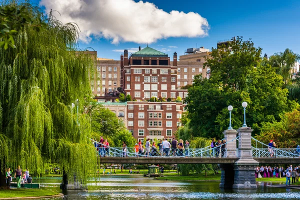 Κτίρια και γέφυρα πάνω από μια λίμνη σε ο Δημοτικός Κήπος της Βοστώνης. — Φωτογραφία Αρχείου