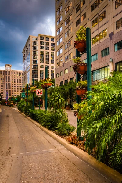 Gebouwen en landschapsarchitectuur langs een straat in orlando, florida. — Stockfoto