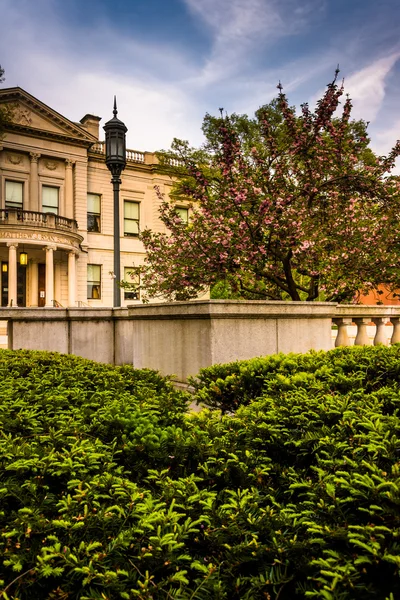 Bushes and the Speaker Matthew J. Ryan Building at the Capitol C — Stock Photo, Image