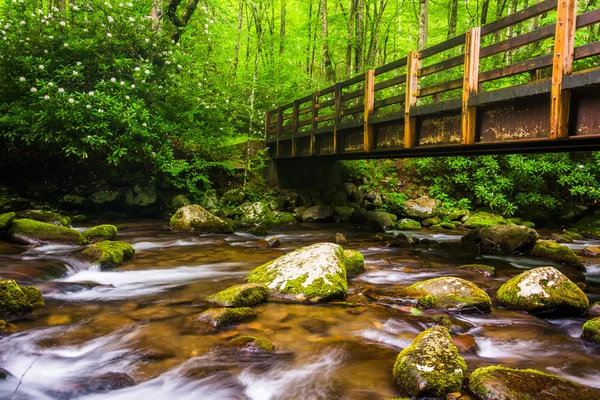 Cascades and walking bridge over the Oconaluftee River, at Great — Stock Photo, Image
