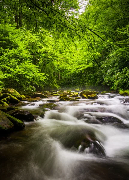 Cascades in the Oconaluftee River, at Great Smoky Mountains Nati — Stock Photo, Image